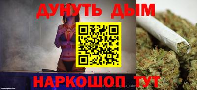гашик Камышлов