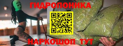 гашик Камышлов