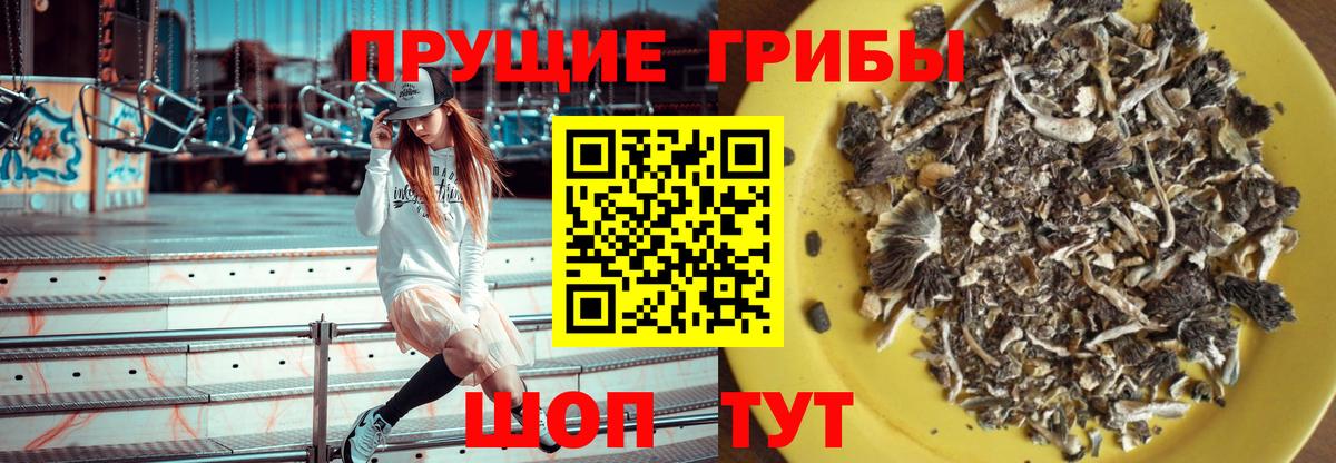 Псилоцибиновые грибы MAGIC MUSHROOMS  Вход с VPN  Лангепас 